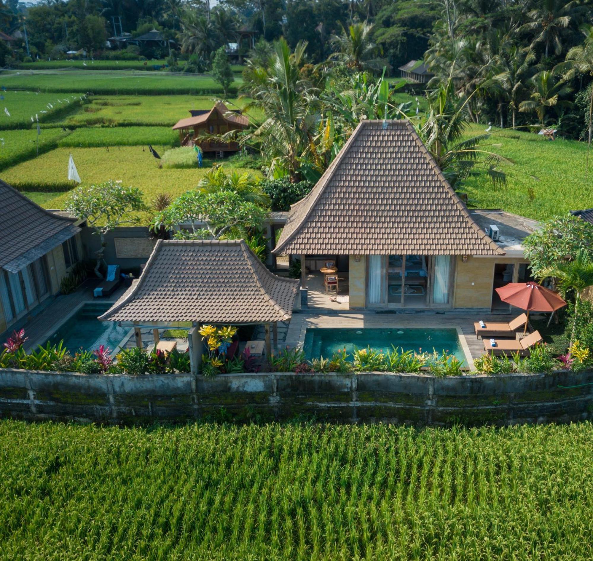Happy Honeymoon Private Villa Ubud Eksteriør bilde